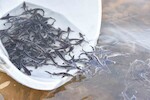 180 тысяч мальков осетра выпустила ОТЭКО в Краснодарском крае